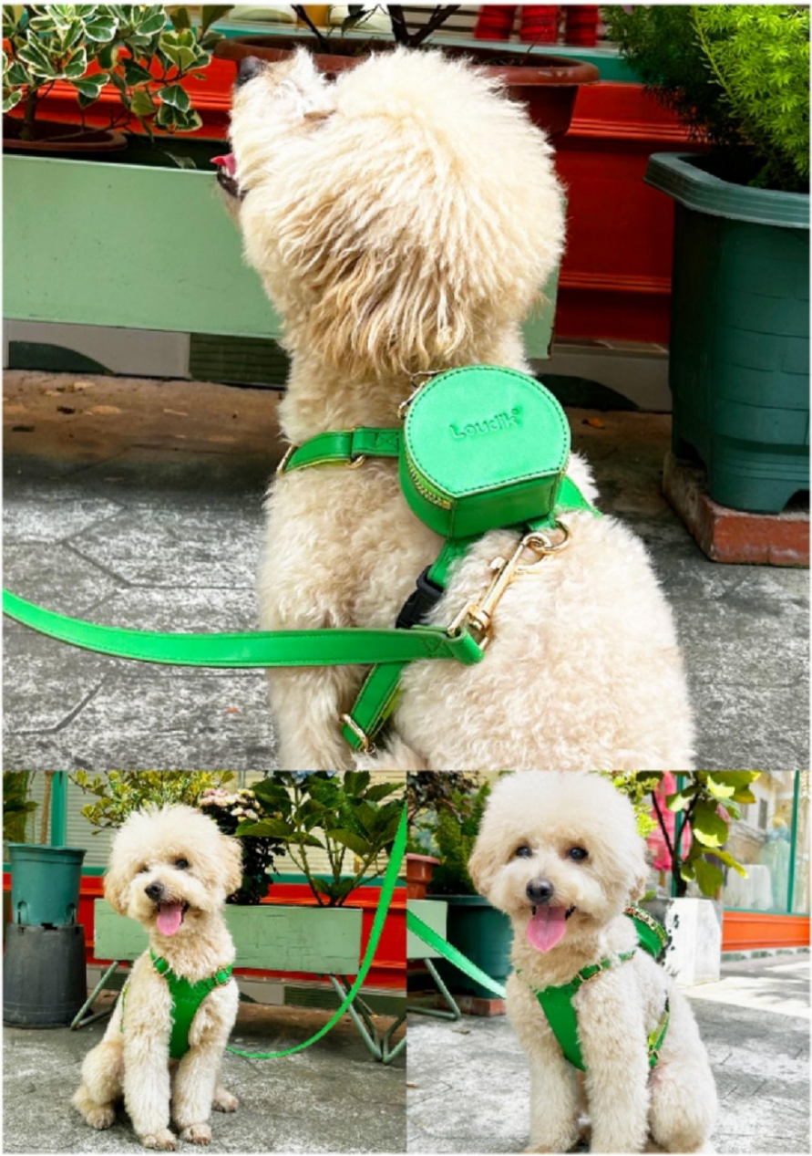 Pet harness