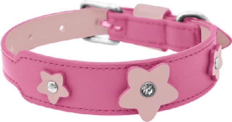 Pet Harness
