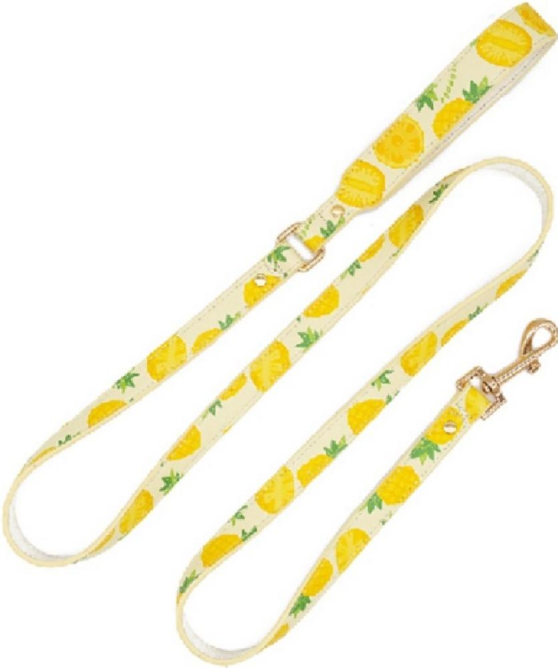 Pet leash