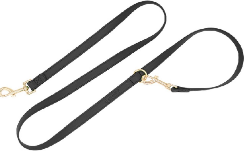 Pet leash