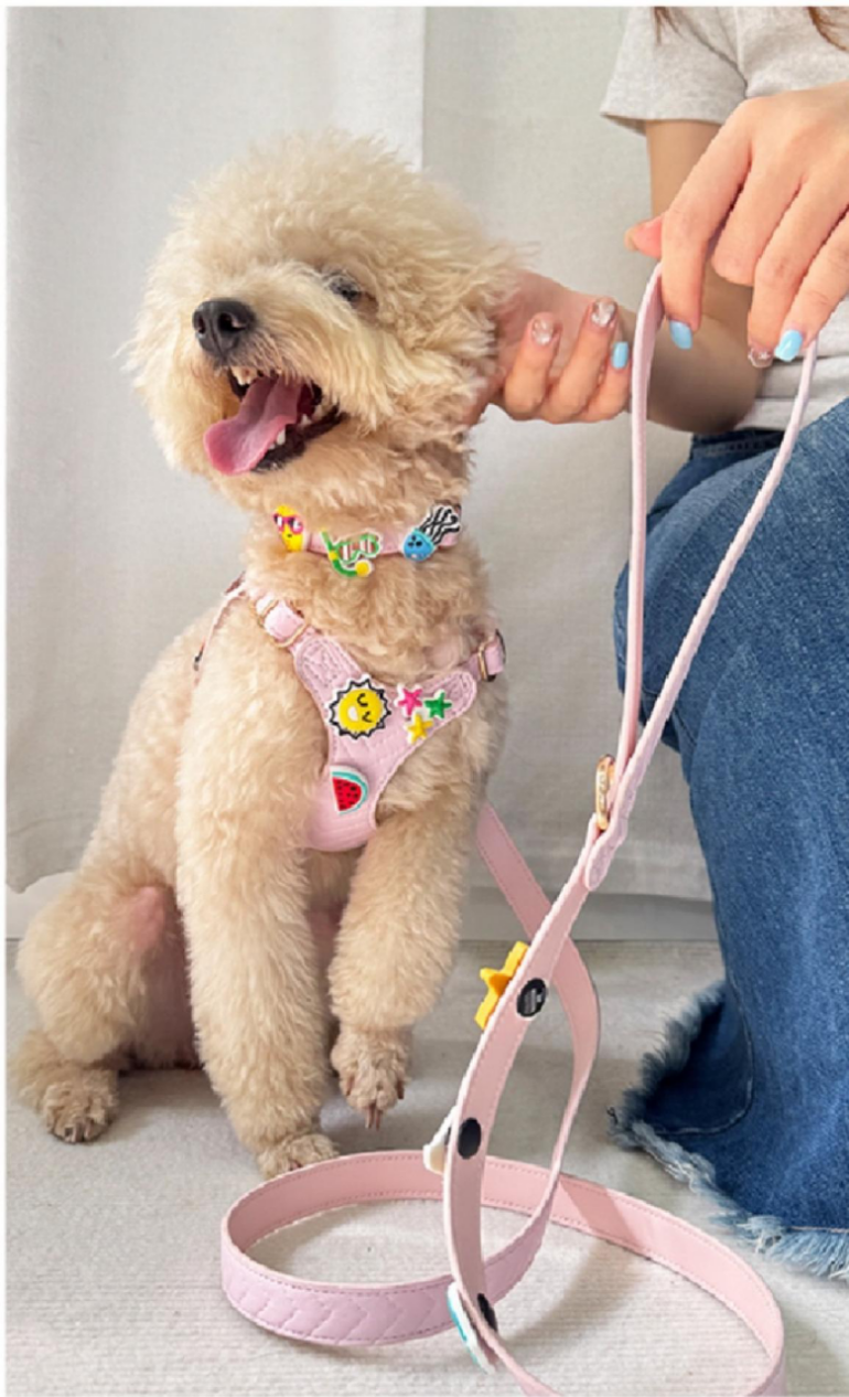 Pet harness set