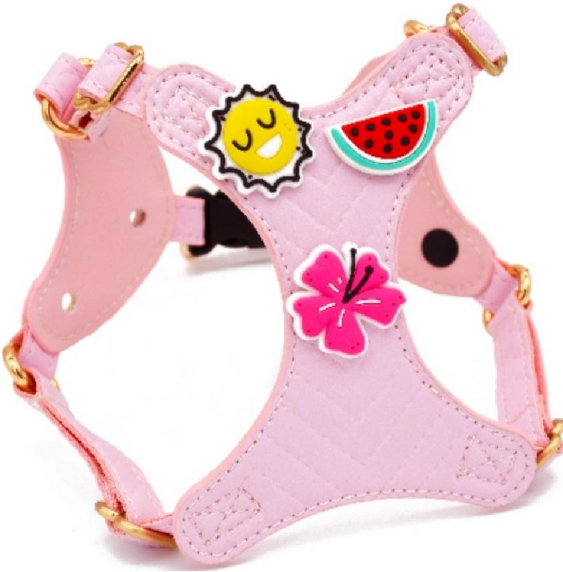 Pet Harness