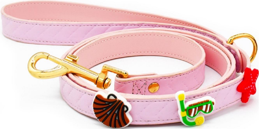 Pet leash